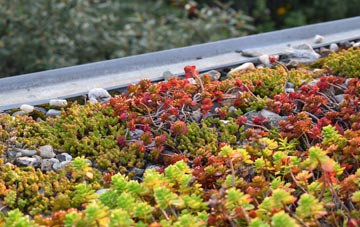 the cost of Calford Green green roof installation