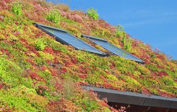 Calford Green living roof systems